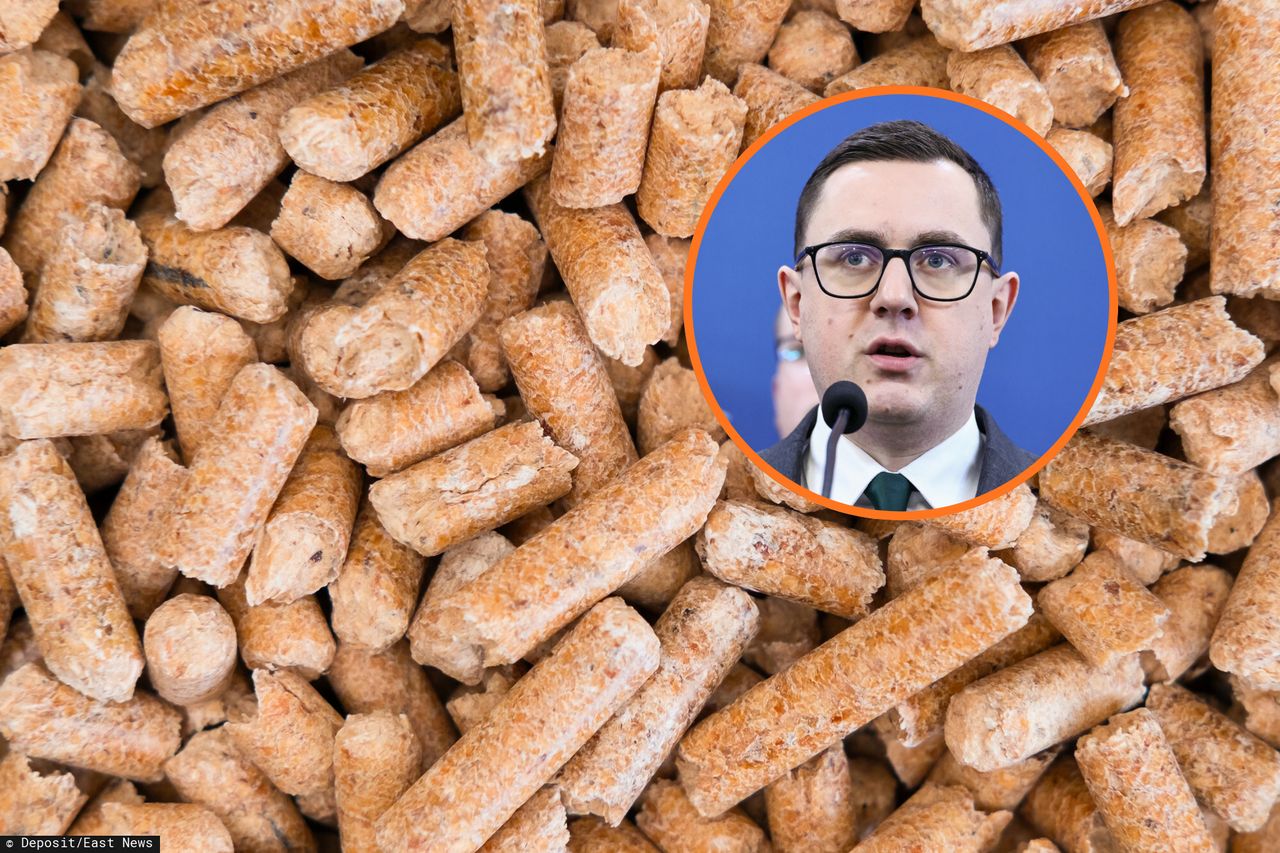 Zapadła decyzja ws. pelletu. Ministerstwo zabrało głos