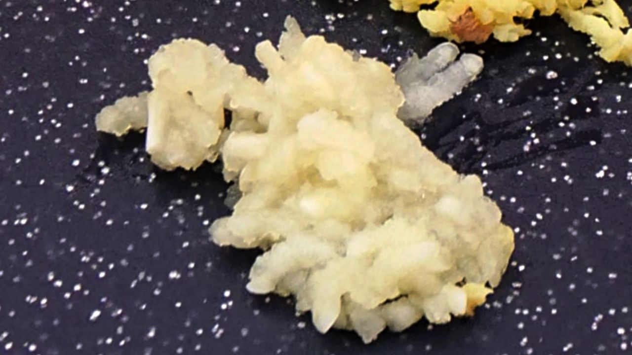 Piecze w język, ale działa przenikliwie. Co dzieje się w organizmie po chrzanie?