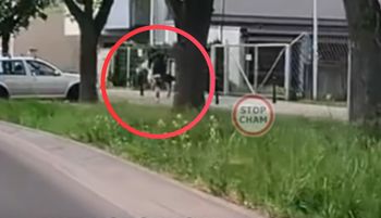 Boli od patrzenia. Dwie osoby na hulajnodze. Fatalny finał