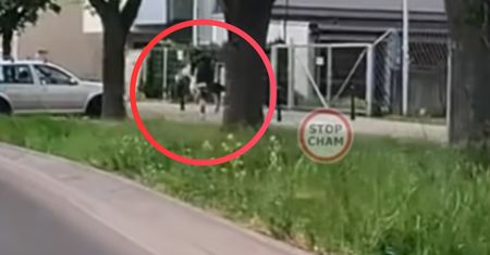 Boli od patrzenia. Dwie osoby na hulajnodze. Fatalny finał