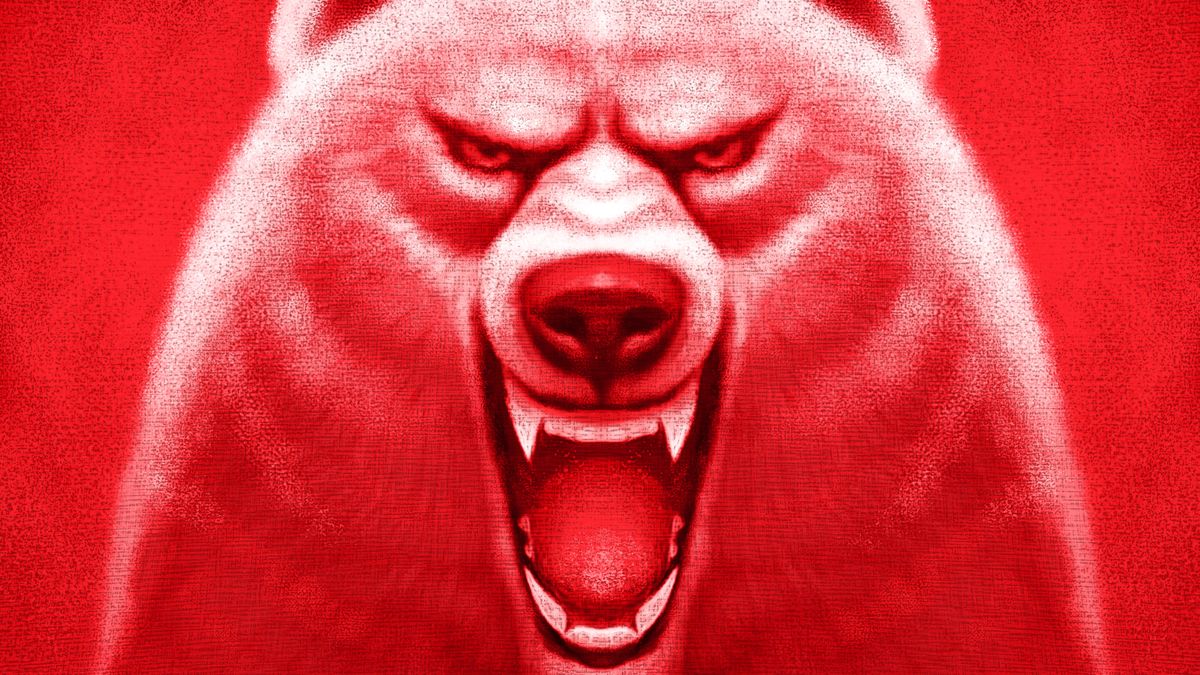 Wizualizacja niedźwiedzia