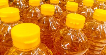 Przez lata żyliśmy w błędzie? Nowe badania o oleju rzepakowym szokują