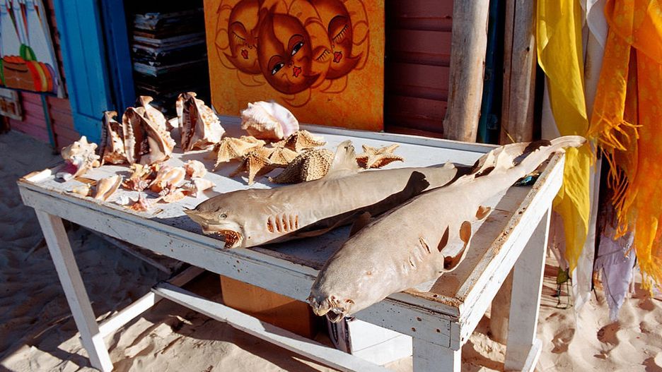 Pamiątki sprzedawane w kurorcie Punta Cana na Dominikanie