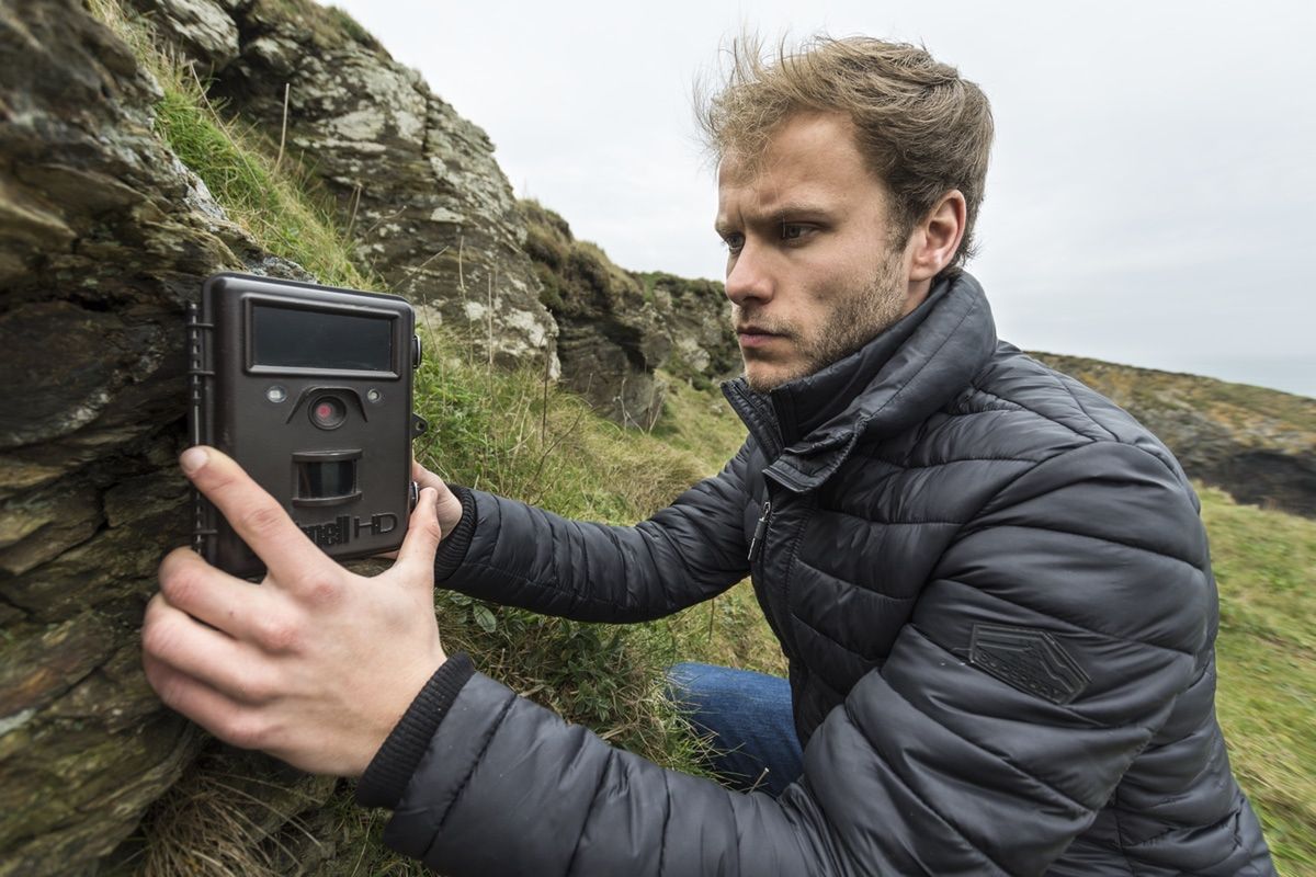 Nietoperz podczas polowania - zwycięskie zdjęcie British Wildlife Photography Awards 2018 19