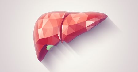 Hepatolog – kim jest, zlecane badania, diagnozowanie chorób