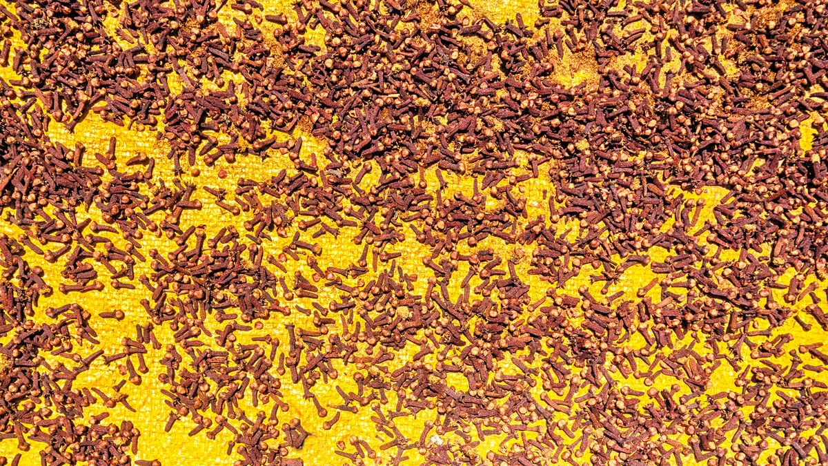 Jak pozbyć się uciążliwych wzdęć?