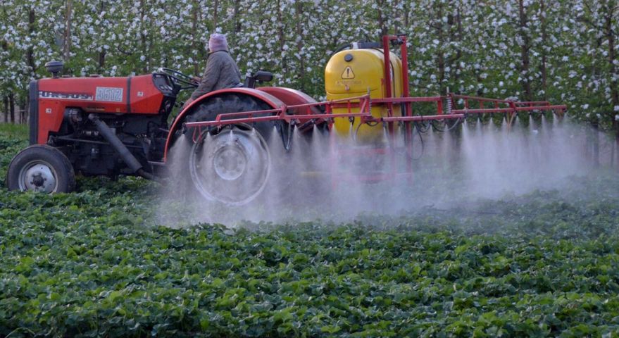 Pestycydy zagrażają co 10 dziecku w Polsce