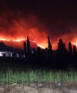 Pożary we Włoszech. Gdzie? Ogień zagraża kurortom