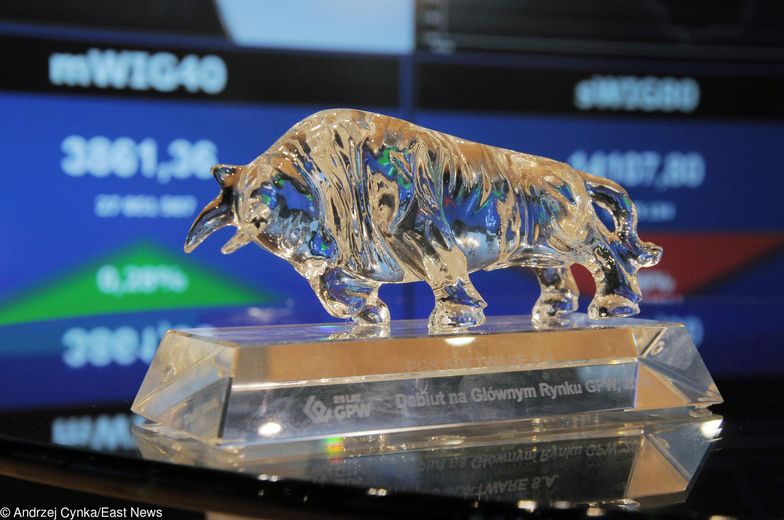 Wiara inwestorów w niektóre akcje na giełdzie wydaje się nieograniczona.