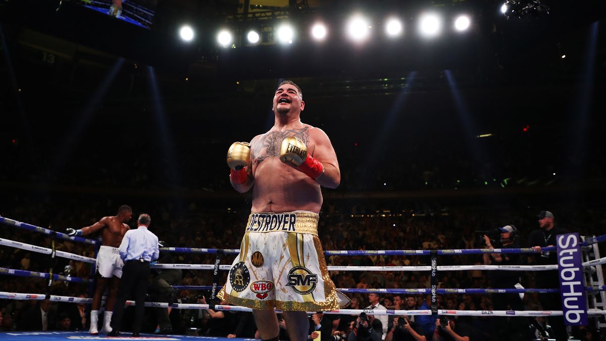 Getty Images / Al Bello / Na zdjęciu: Andy Ruiz jr