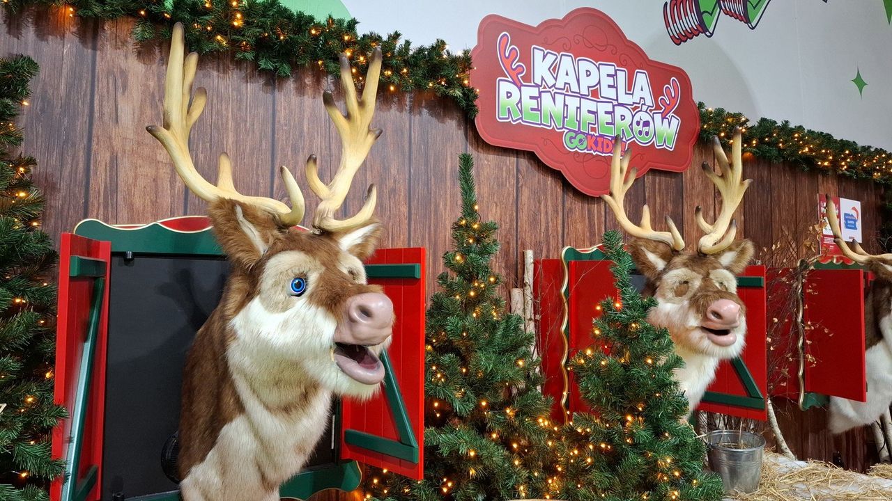 Kraków: Mikołajki w Świątecznej Krainie Supermocy GOkidz