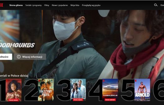 Polacy obchodzą blokadę współdzielenia kont Netfliksa. Mają kilka sposobów