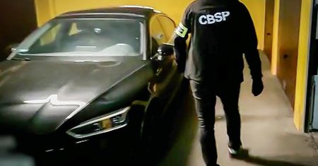Prawie nowe audi, wózek widłowy i części. Policjanci rozbili dziuplę pod Siedlcami