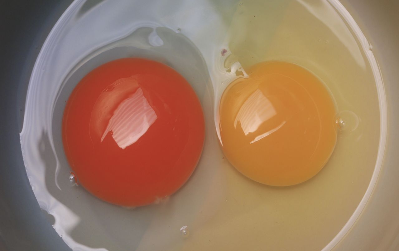 Wielu nie ma pojęcia, o czym świadczy kolor żółtka i rozmiar jajka. Wyjaśnijmy raz na zawsze