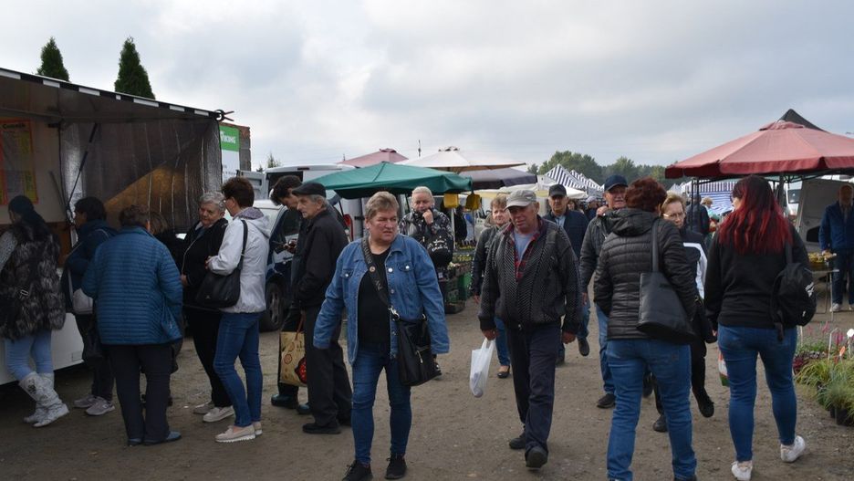 1.10. 2025r. Targowisko w Koźminku przyciąga mieszkańców gminy Koźminek i okolic. Klienci zaopatrują się tutaj w świeże owoce i warzywa, a także rośliny. Można też kupić mięso i, tradycyjne pieczywo. Nie brakuje tutaj stoisk z odzieżą i obuwiem oraz kompozycji na groby