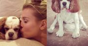 Krupa: "Mój pies ma raka. Chciałabym się z nią pożegnać"