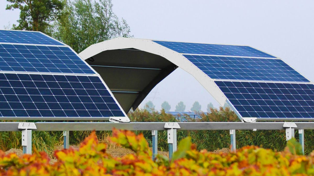 Fotowoltaika dla rolników. Łuki fotowoltaiczne zwiększą plony 1