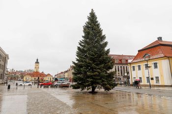 Białystok: Święta coraz bliżej. Choinka na Rynku Kościuszki i świąteczne ozdoby w centrum