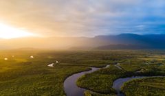 Wylesienie Amazonii ociepla klimat w odległych miejscach