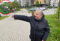 Warszawa ma duży problem. Ludzie aż boją się wychodzić z domów