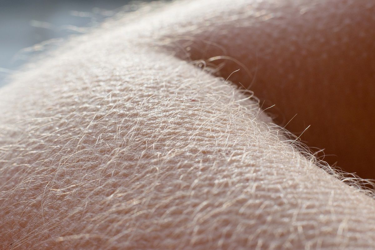 Gęsia skórka może być znakiem od Wszechświata. Fot. Getty Images
