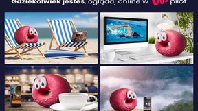 Igrzyska Olimpijskie Tokio 2020. Gdzie i kiedy oglądać występy Polaków? Terminarz