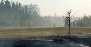 Zmiany klimatu: ONZ po raz pierwszy ostrzega przed uchodźcami klimatycznymi