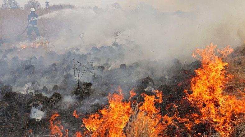Ogień w Biebrzańskim Parku Narodowym. To jeden z największych skarbów polskiej przyrody