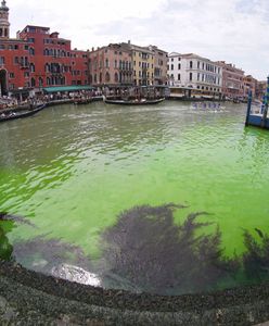 Odblaskowa zielona plama na Canal Grande w Wenecji. "Zdecydowane przegięcie"