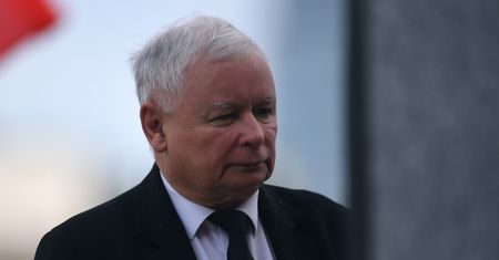 Wróżbita o przyszłości Kaczyńskiego i... kota prezesa. "Będzie miał się świetnie"