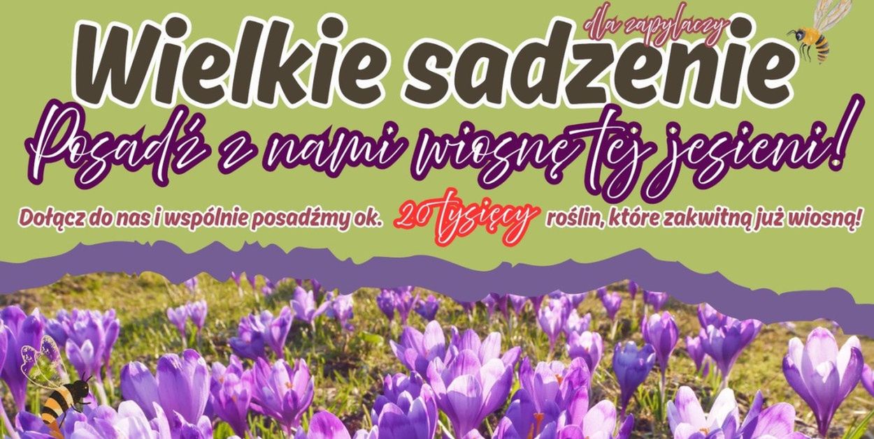 Pszczółki: Wielkie sadzenie i rewitalizacja parku w Ulkowach