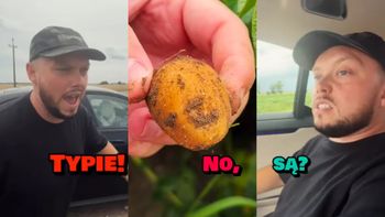 Książulo nie wiedział, jak wyglądają ziemniaki. Wizyta na polu była dla niego szokiem: "To ZA DARMO można sobie brać?"