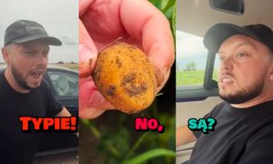Książulo nie wiedział, jak wyglądają ziemniaki. Wizyta na polu była dla niego szokiem: "To ZA DARMO można sobie brać?"