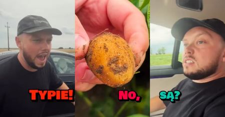 Książulo nie wiedział, jak wyglądają ziemniaki. Wizyta na polu była dla niego szokiem: "To ZA DARMO można sobie brać?"