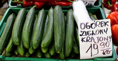20 zł za kilogram ogórków? "Warzywa z Afryki są tańsze"