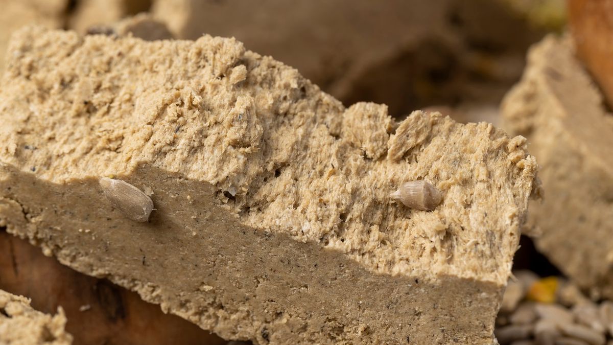 Dlaczego warto jeść chałwę?