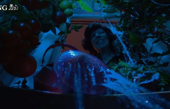 ING pokazuje w kampanii, że „Łatwiej robić swoje, gdy ma się ogarnięte finanse”