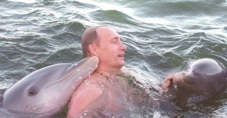 Delfiny bojowe. Rosjanie wciągnęli w wojnę morskie ssaki zabrane Ukraińcom