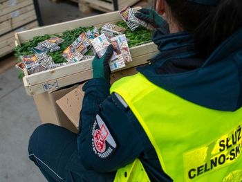 Budzisko: Kontrabanda ukryta w... skrzyniach z pietruszką. Udaremniony przemyt białoruskich papierosów