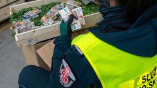 Budzisko: Kontrabanda ukryta w... skrzyniach z pietruszką. Udaremniony przemyt białoruskich papierosów
