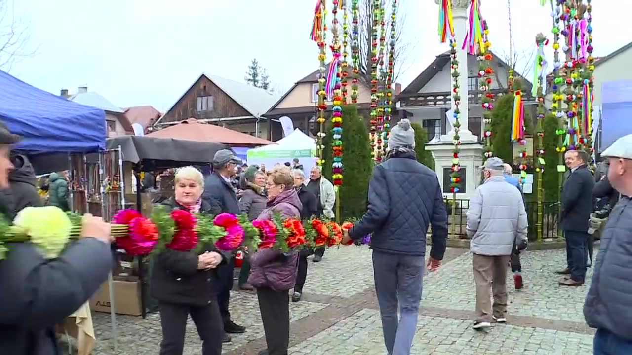 Obchody Niedzieli Palmowej w Lipnicy Murowanej. Najwyższa tegoroczna palma mierzy ponad 27 metrów