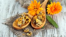 Nagietek - charakterystyka, właściwości, zastosowanie, działanie na skórę