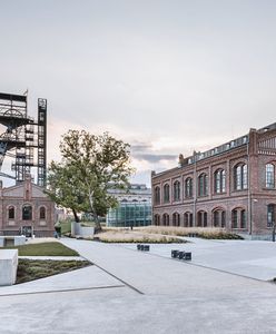 Katowice. Muzeum Śląskie znów otwarte i ma nowego tymczasowego dyrektora
