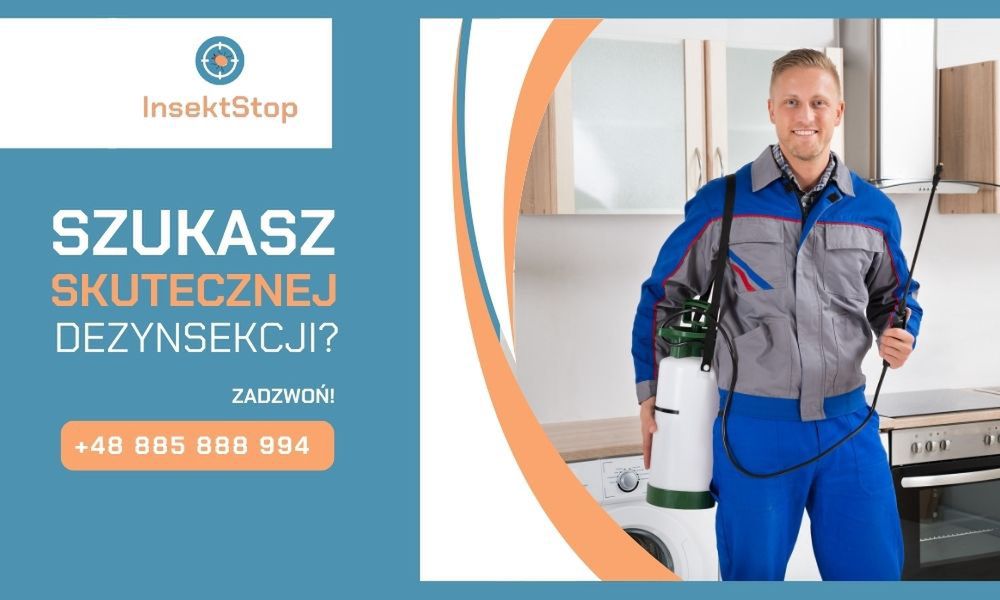 insektstop.pl dezynsekcja  