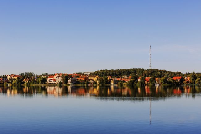 Obraz