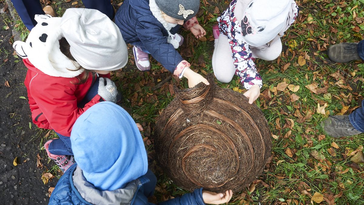 Nauczyciele chcą by więcej zajęć z przyrody odbywało się bez wkuwania z książek