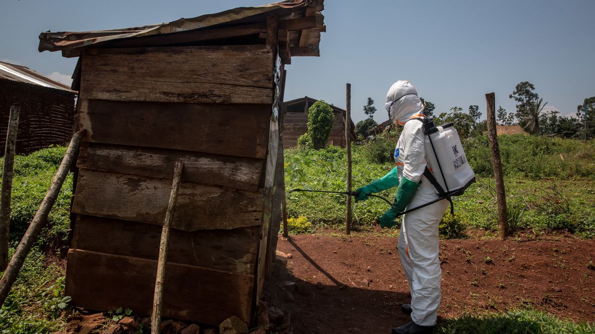 W DRK pojawiły się przypadki nowych, groźnych chorób odzwierzęcych