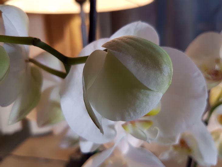 Samsung Galaxy S7 - przykładowe zdjęcia i szybkie porównanie z Galaxy S6 22