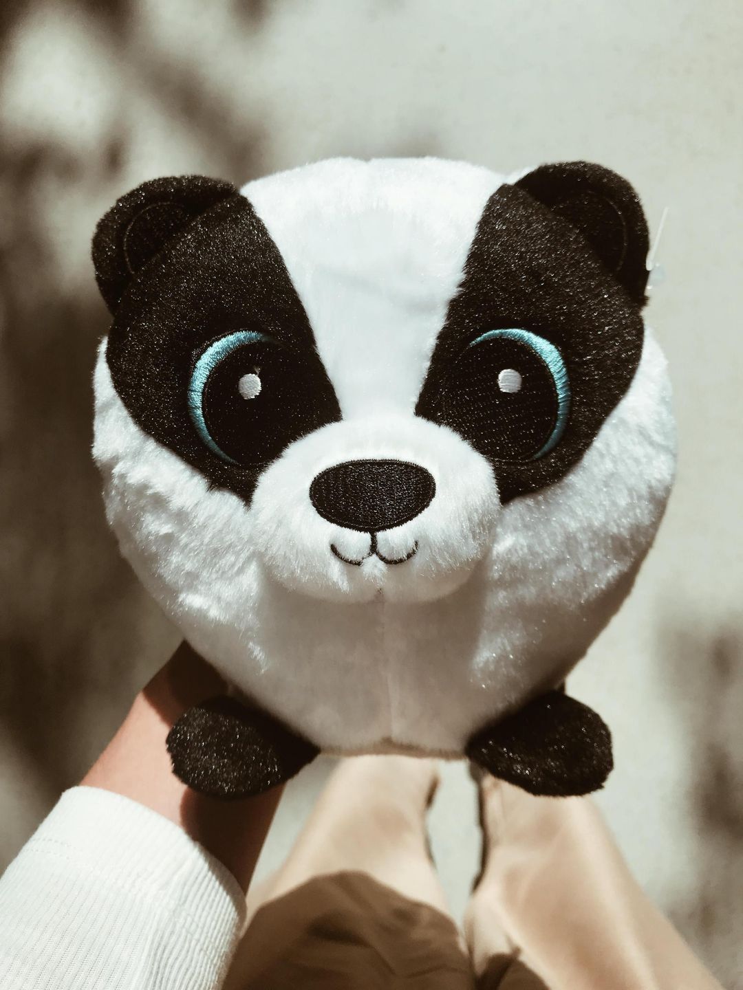 Borsuk Bartek. Gang Słodziaków Biedronki