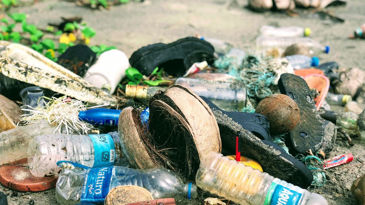 śmieci; odpady; rozrzucone śmieci